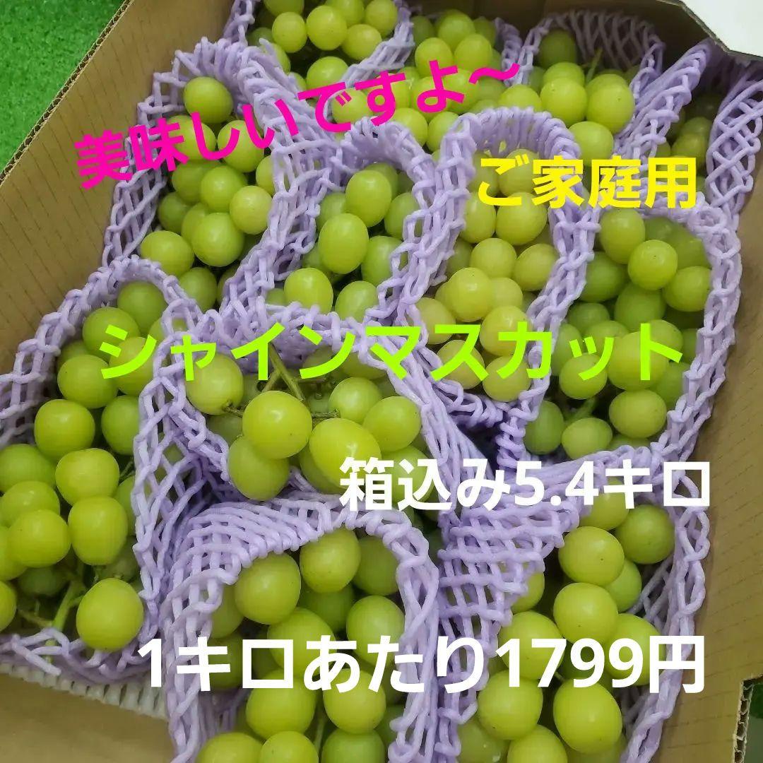 7️⃣ 山梨県産 シャインマスカット １２房入り 箱込み5.5キロ