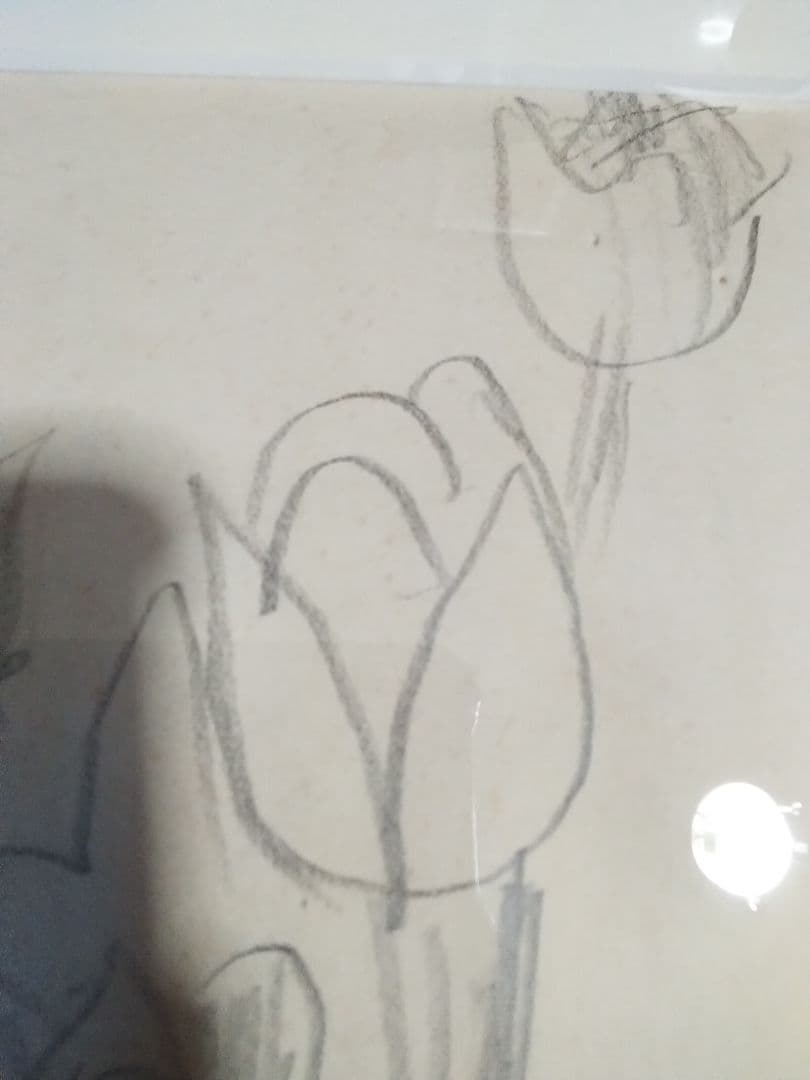 梅原龍三郎チューリップ鉛筆画真作巨匠