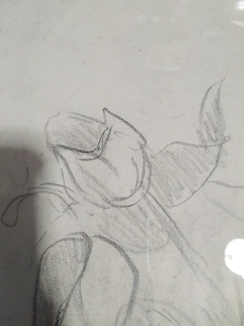 梅原龍三郎チューリップ鉛筆画真作巨匠