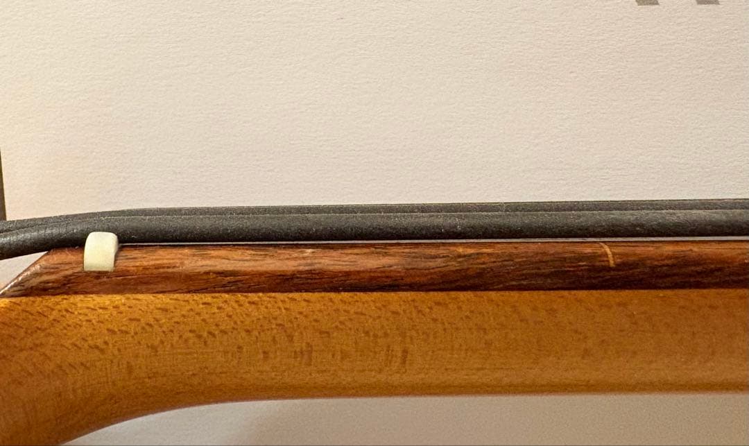 【希少】フリーダムカスタムギターリサーチ フレットレスベース ハードケース付