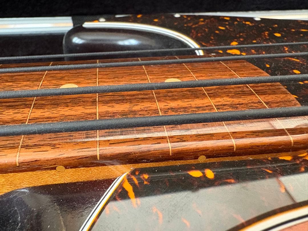 【希少】フリーダムカスタムギターリサーチ フレットレスベース ハードケース付