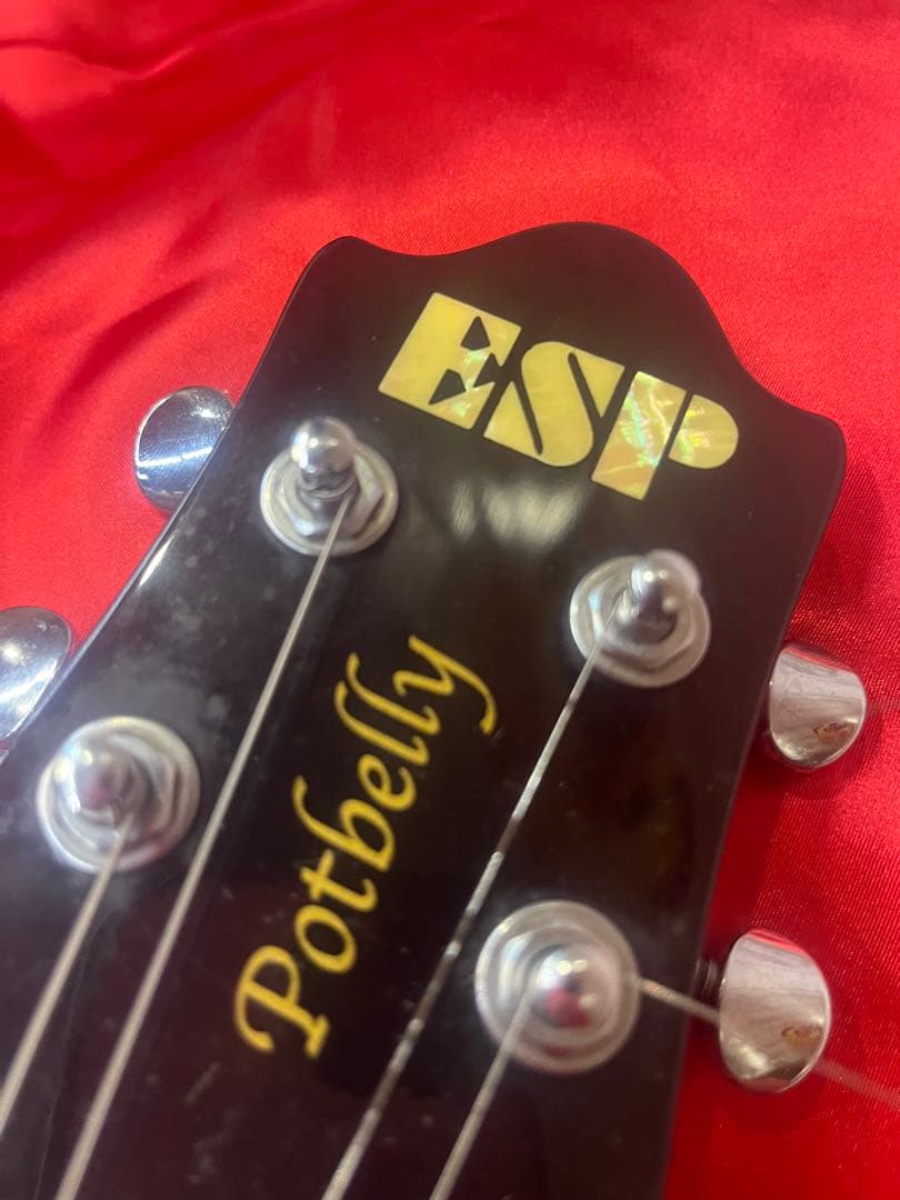 ESP potbelly ポットベリー
