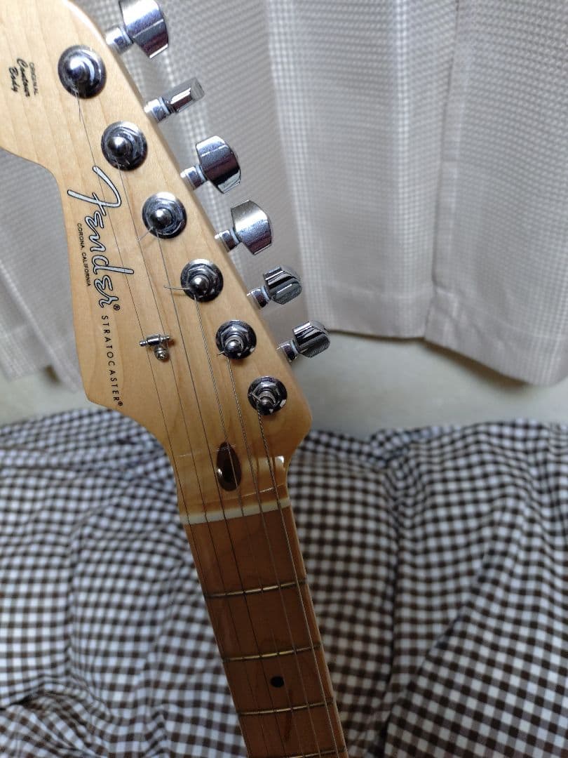 Fender AmericanProfessionalレフティ ハードケース付き