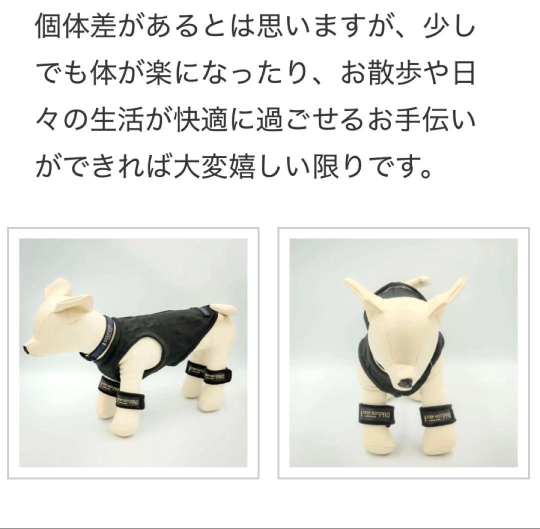 歩けるくん STEP EQT PRO アンクルバンド　最軽量レギュラーサイズ