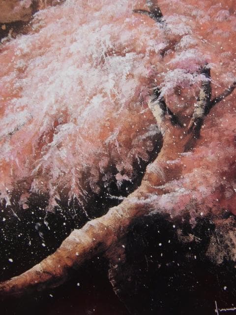 立川広己、【いにしえ】、希少な額装用画集より、美品、新品額装付、インテリア