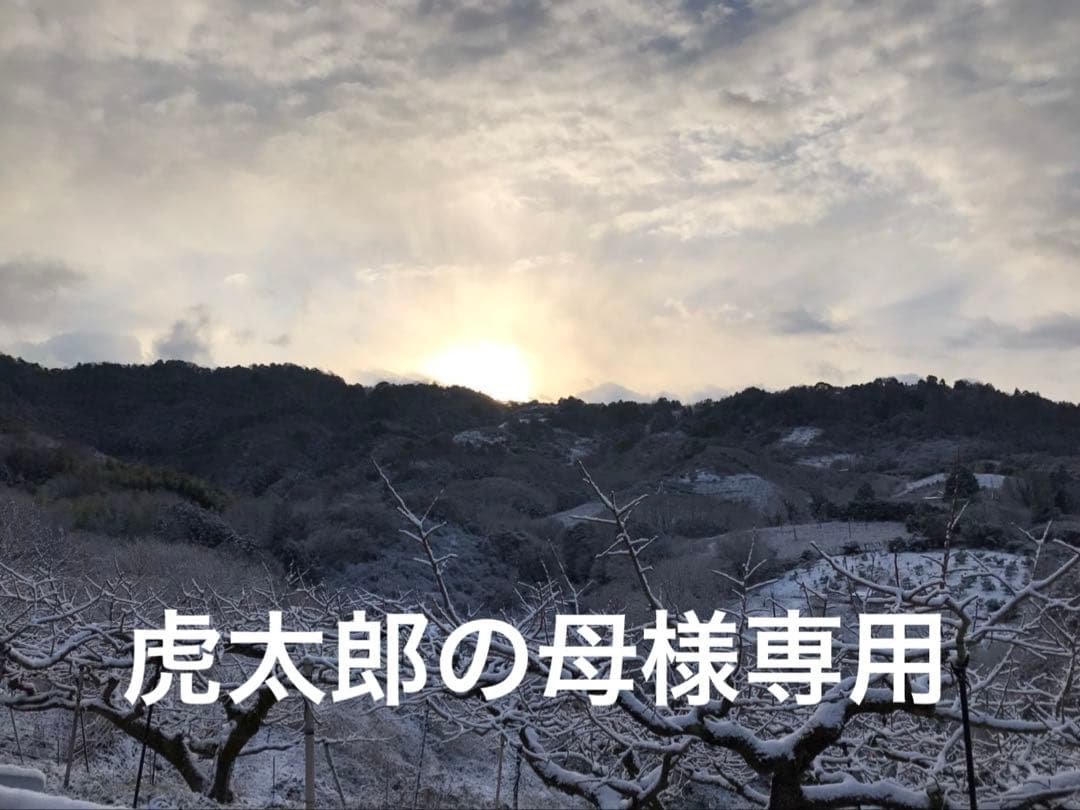 虎太郎の母　和田果樹園の果物　10kg