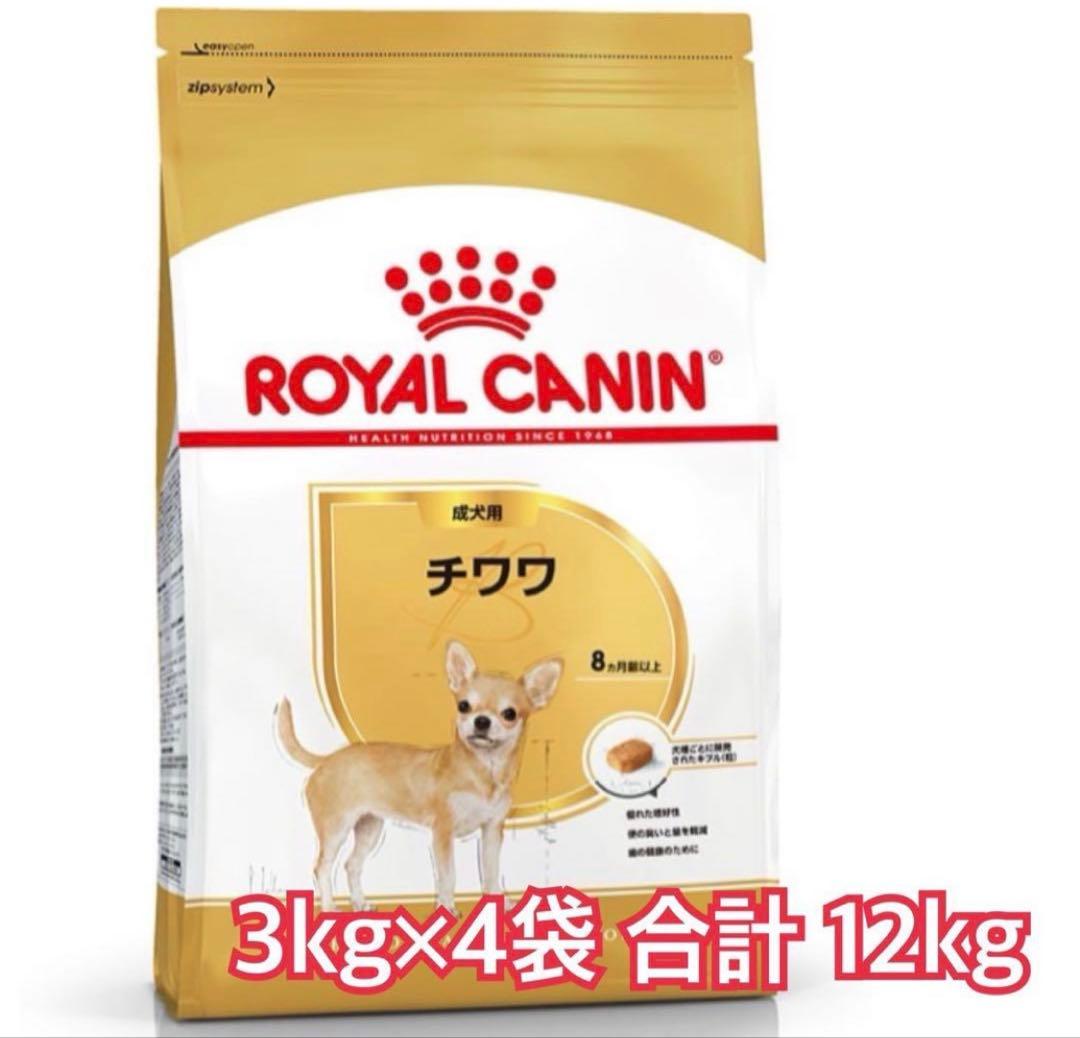  CANIN チワワ 12kg