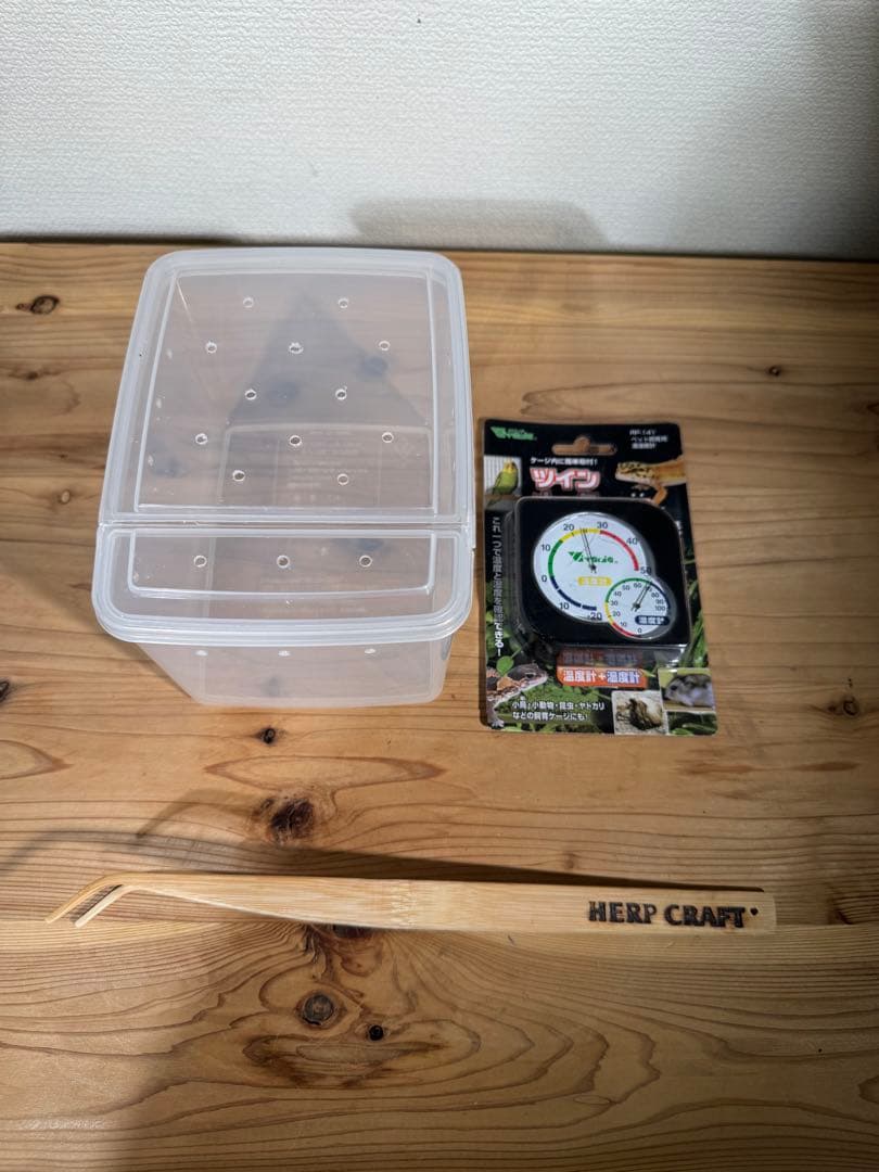 爬虫類　飼育セット　フトアゴ　リクガメ