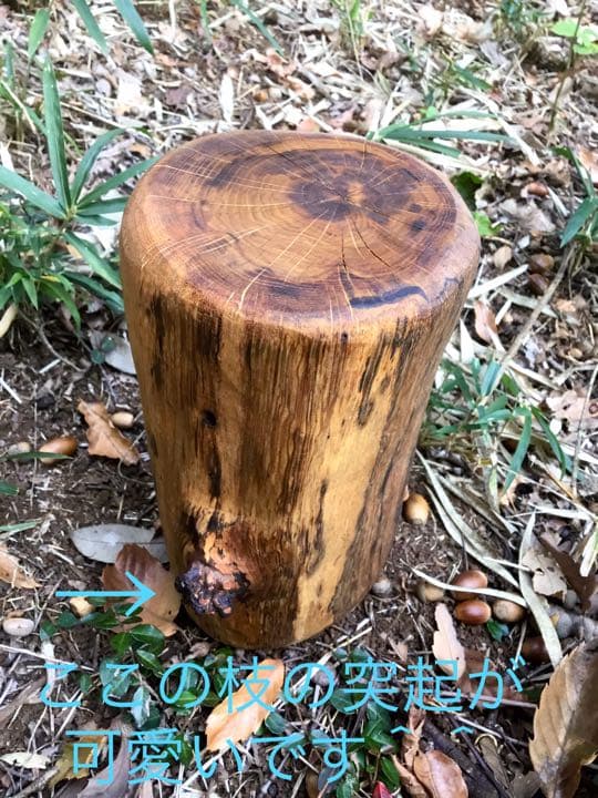 10/24に伐採した楢で作成【薪割り台/椅子/枕】水中乾燥/オイルフィニッシュ済