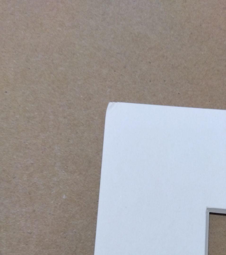 犬夜叉　殺生丸　複製原画　サンデー　りん　シリアルナンバー百番台