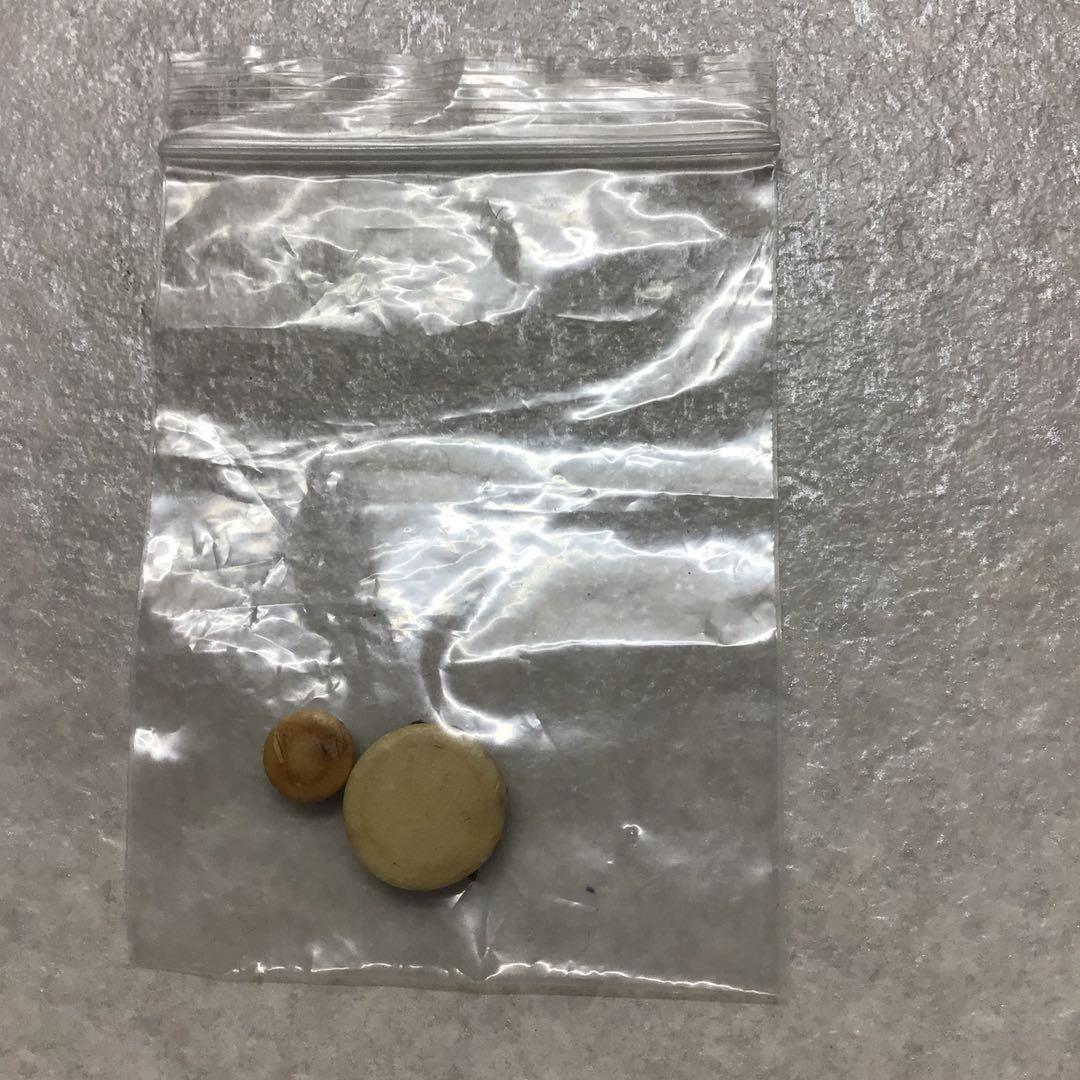 すじこ(53)YAMAHA B♭クラリネットYCL-852CustomCS