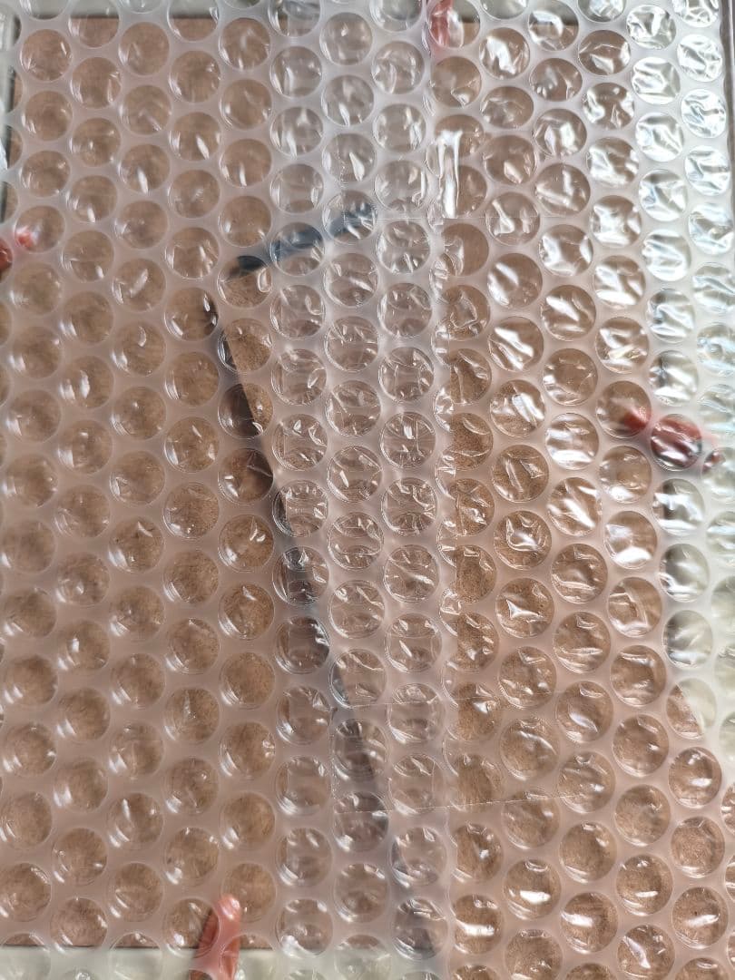 湊かなえ 直筆サイン 告白 300万部 突破記念 シリアルナンバー入り 芥見下々