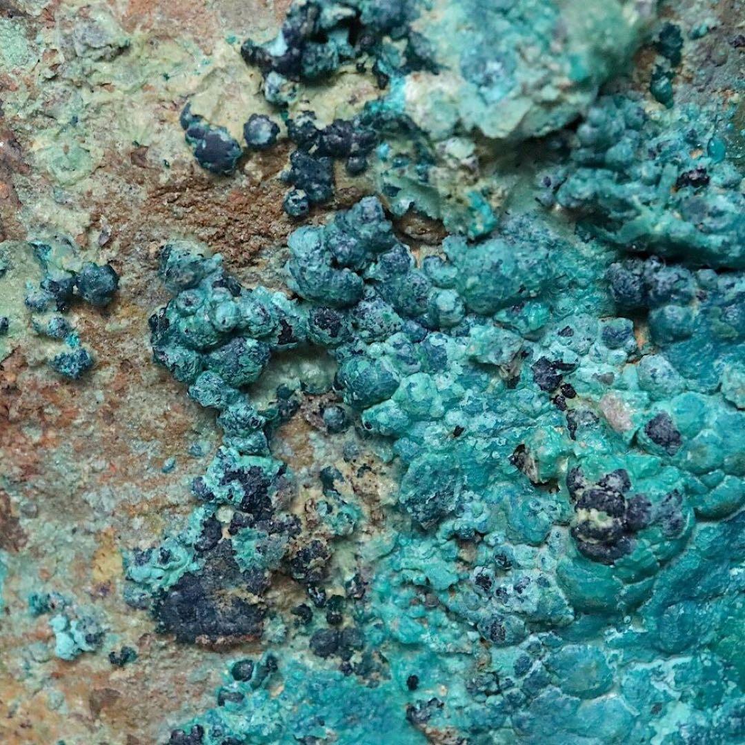 クリソコラ & シュードマラカイト 珪孔雀石 擬孔雀石218.7g CHS167