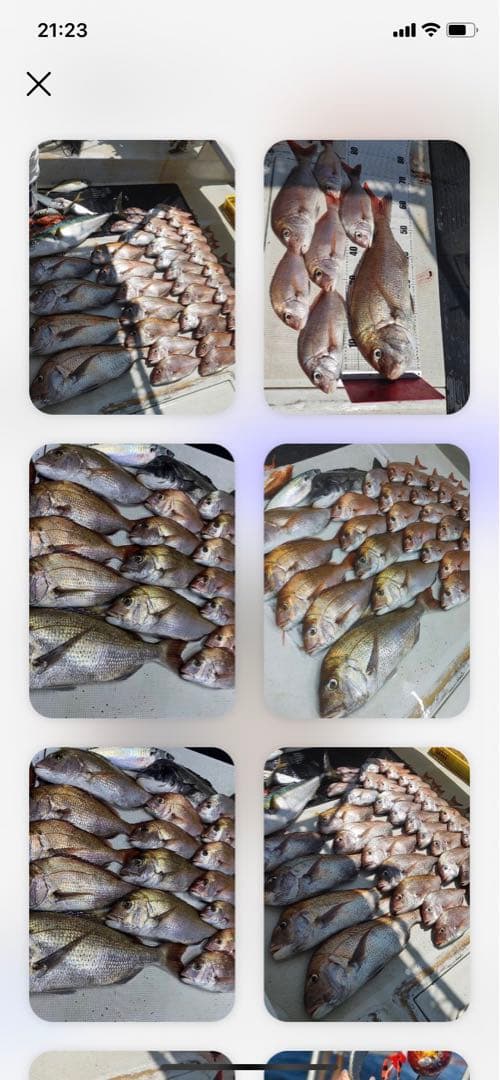 100g3個　タイラバ　鯛ラバヘッド　タングステン　ネクタイ　送料無料　鯛ラバ