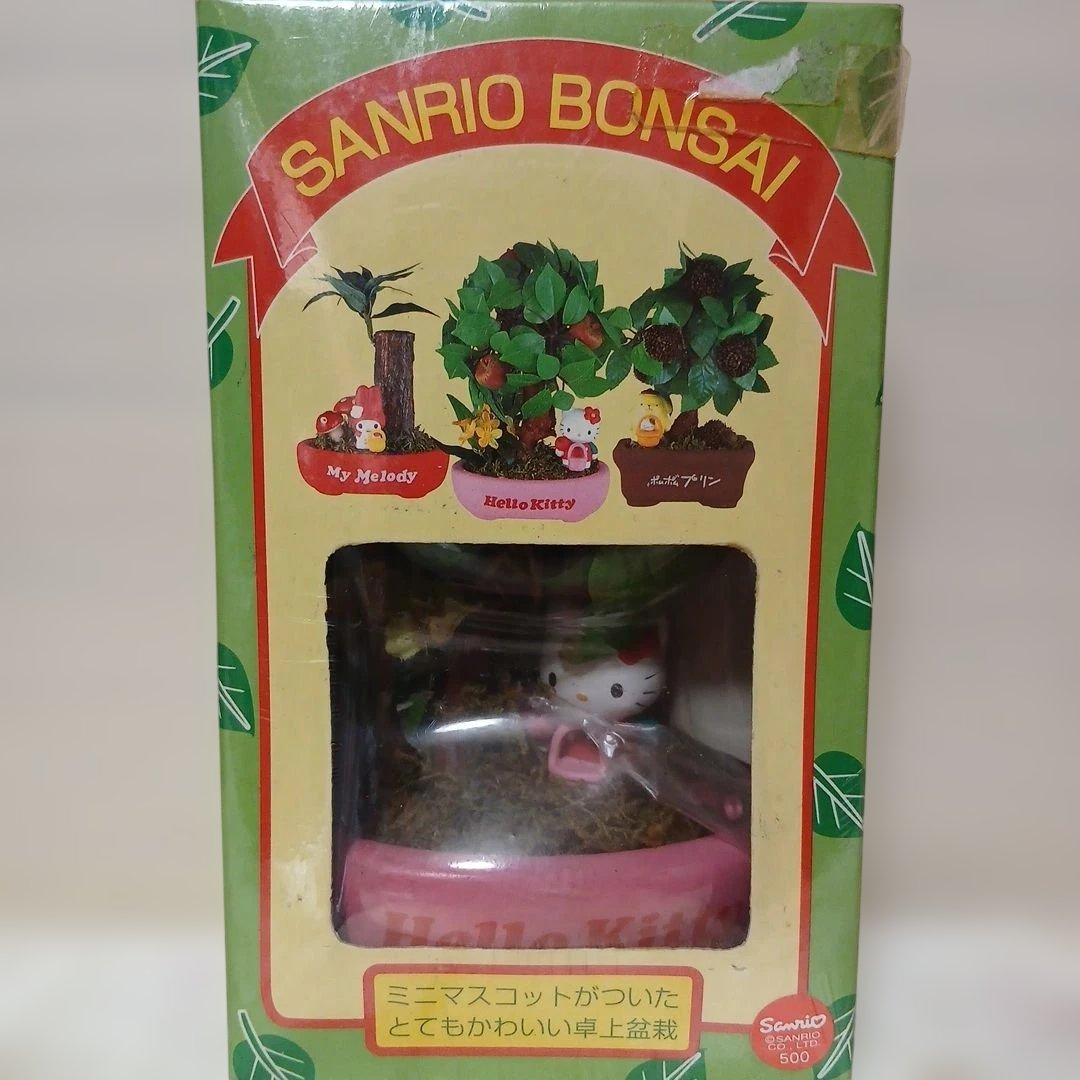 サンリオ　キティ　盆栽　BONSAI　未開封