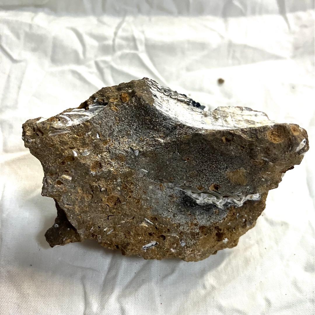 希少 ヴィヴィアナイト シェルフォッシル 藍鉄鉱 貝化石 原石 標本 118g