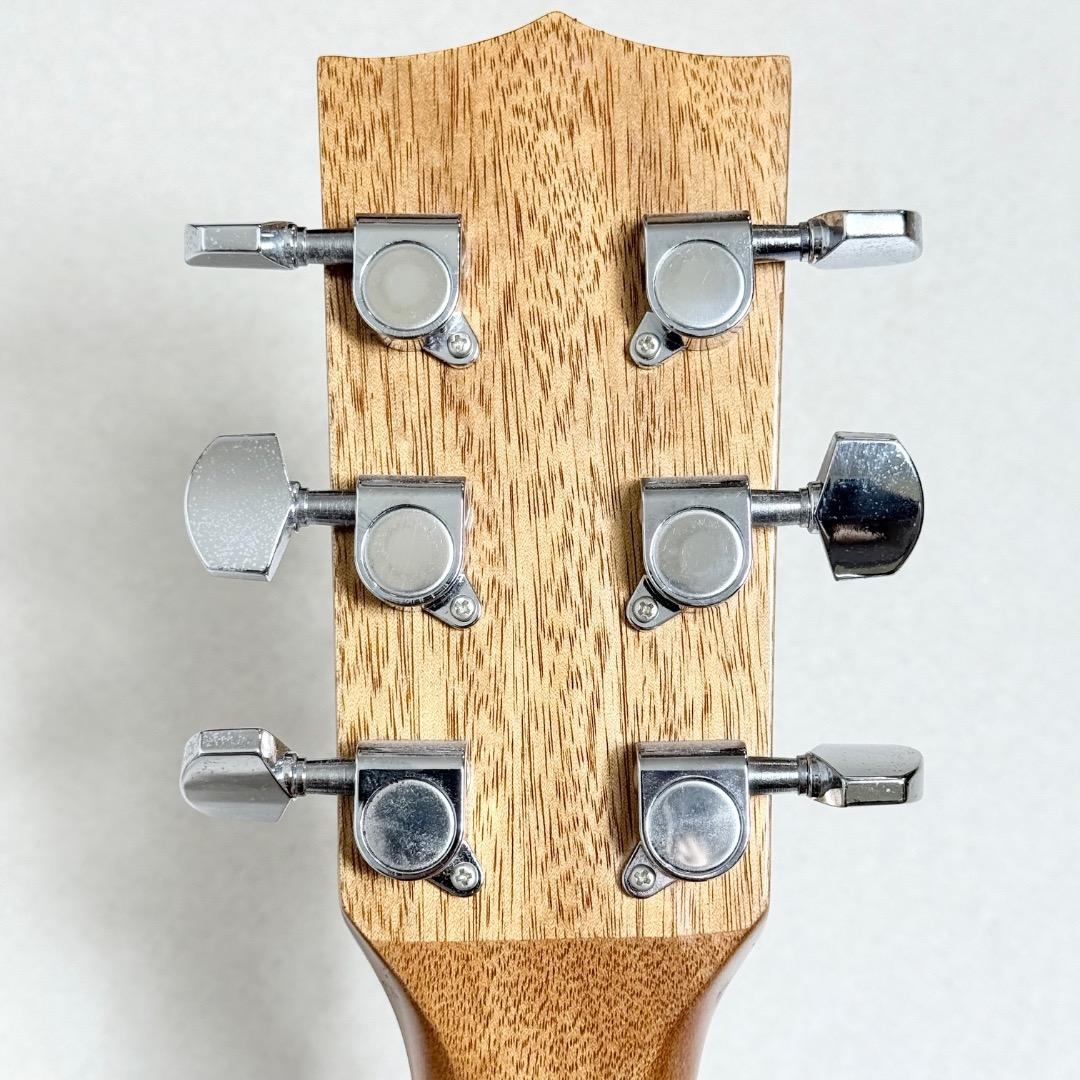 KALA アコースティックギター FISHMAN搭載 KA-GTR-MTS-E