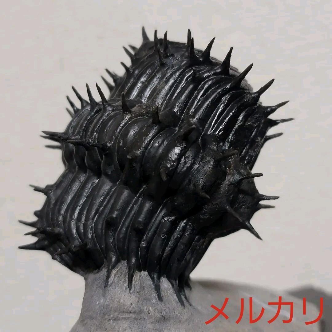 【Drotops armatus】三葉虫 化石標本★trilobite★モロッコ