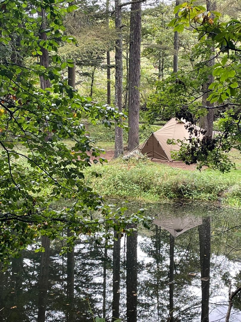 【美品】★オマケ付き★ゼインアーツ ゼクーM ZEKU-M