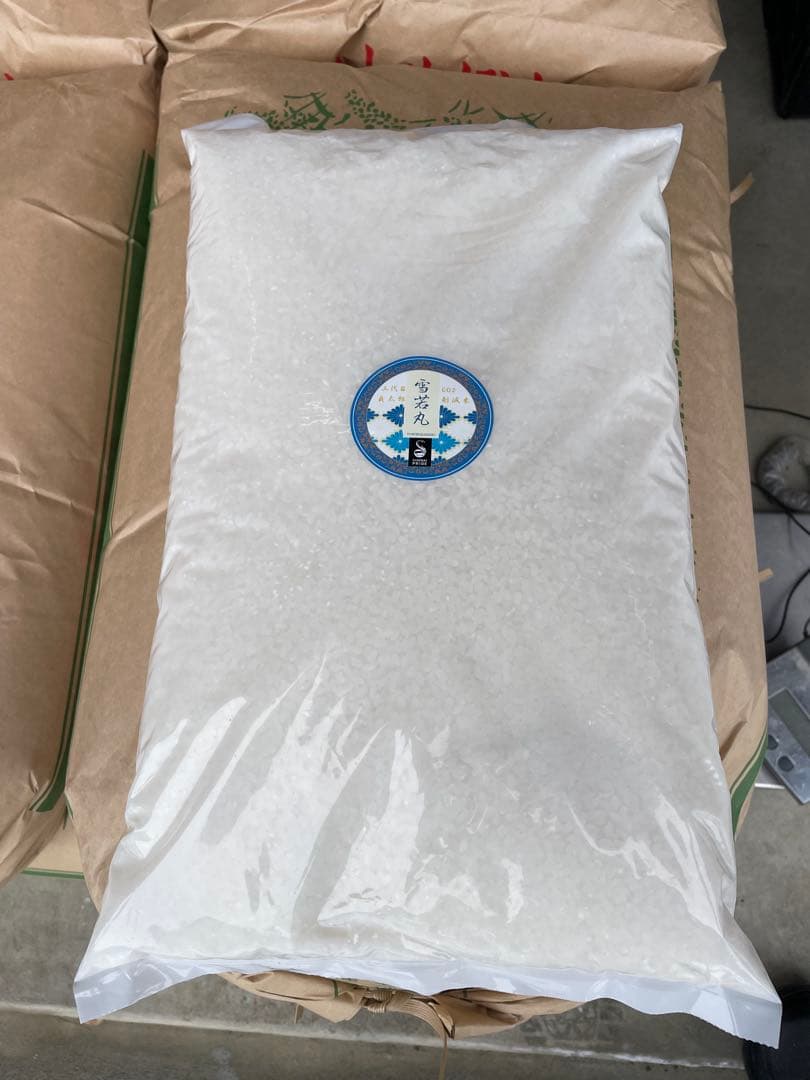 令和7年産山形県無洗米雪若丸白米10k 送料無料！