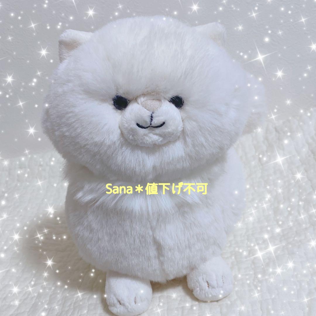 廃盤　新品　ジェリーキャット　猫　ペルシャ　白猫　ねこ　白　ネコ　cat