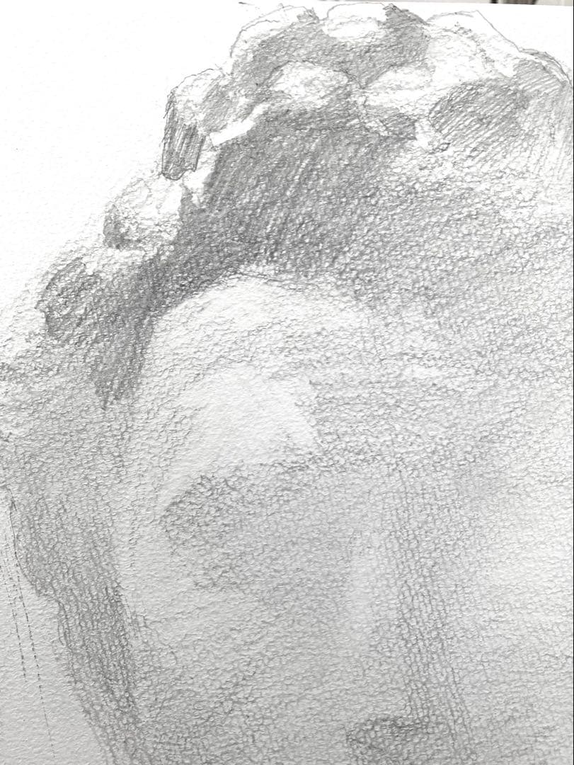 予備校講師が描くジョルジョ　東京藝大デザイン科を目指す方へ。500×650