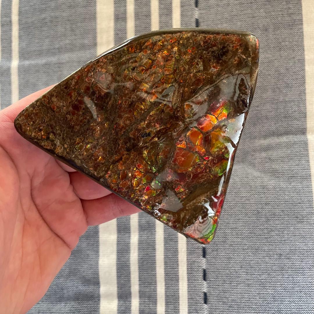 アンモライト 化石 アンモナイト 宝石 原石 大サイズ ドラゴンスキン 博物館