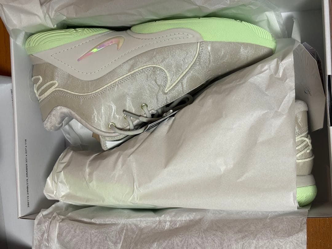 【新品】NIKE ナイキ レブロン 22 EP 26.5㎝