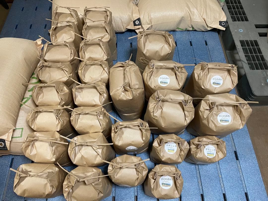 やまちゃん　ササニシキ玄米20