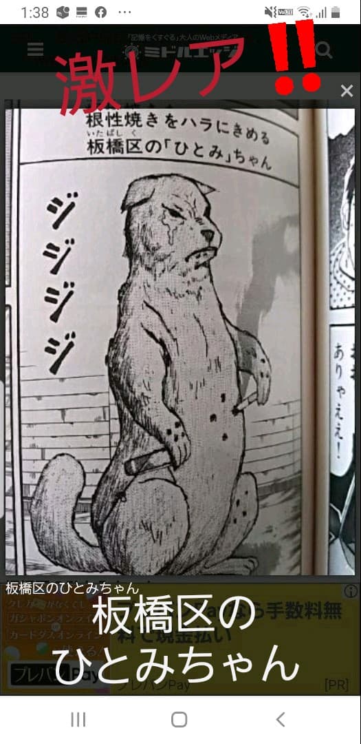 【激烈バカ】超激レア　ごく僅か当選品　ひとみちゃん　ゴールド(メッキ)バージョン