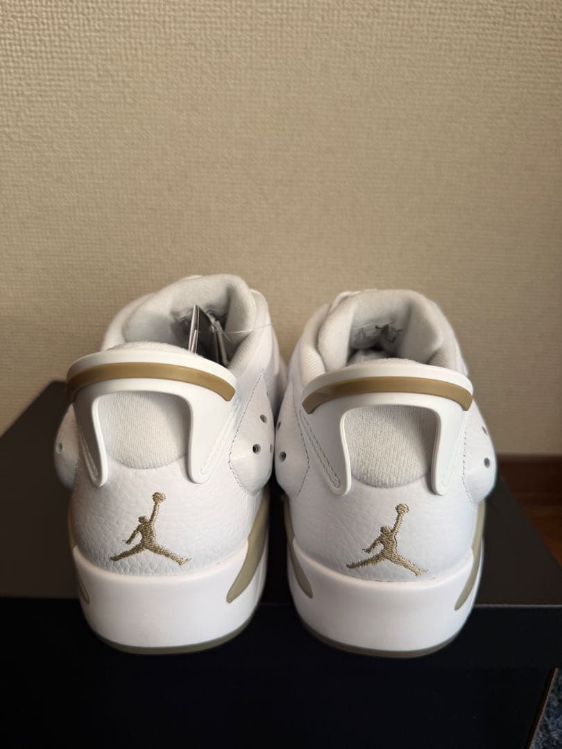 【新品：28.5cm】Nike Air Jordan 6 Low G