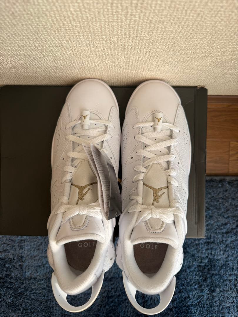 【新品：28.5cm】Nike Air Jordan 6 Low G