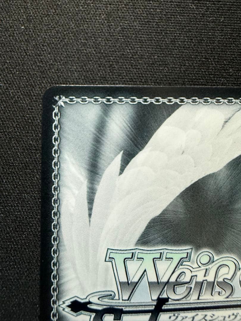 芽生えた信頼　中野五月　SSP