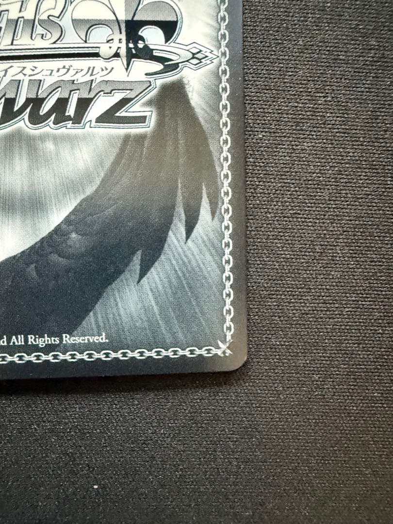 芽生えた信頼　中野五月　SSP