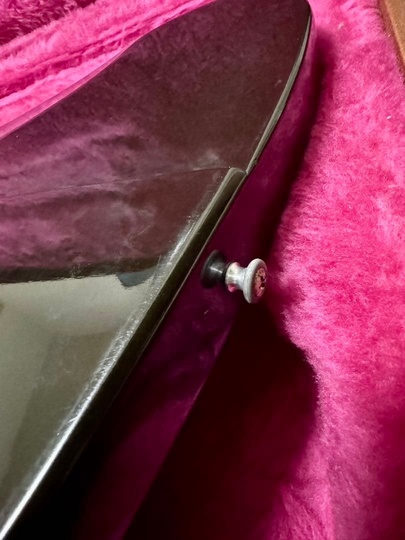 Gibson Firebird EB 1992年製 バンジョーペグ