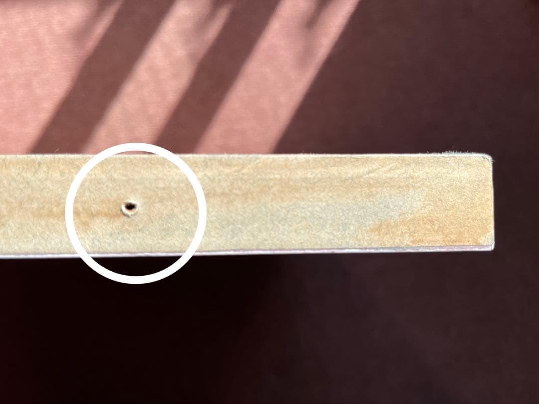 2000年ジャイアンツリーグ優勝・長嶋茂雄監督胴上げ　木製写真パネル