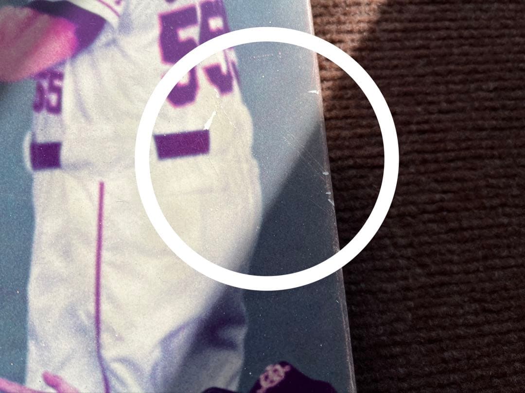 2000年ジャイアンツリーグ優勝・長嶋茂雄監督胴上げ　木製写真パネル