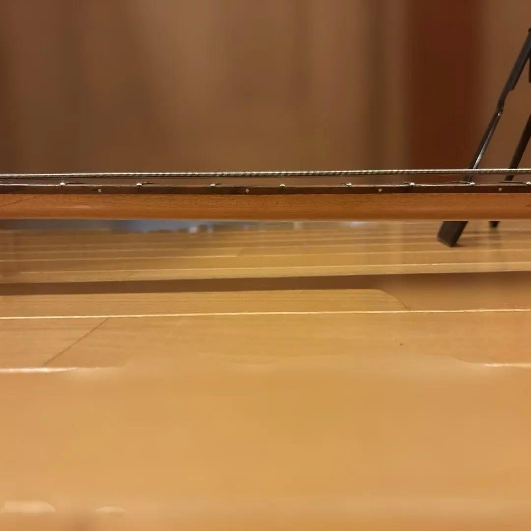 【クオリティさん専用】B.C.Rich Marionソフトケース付 新品弦張替済