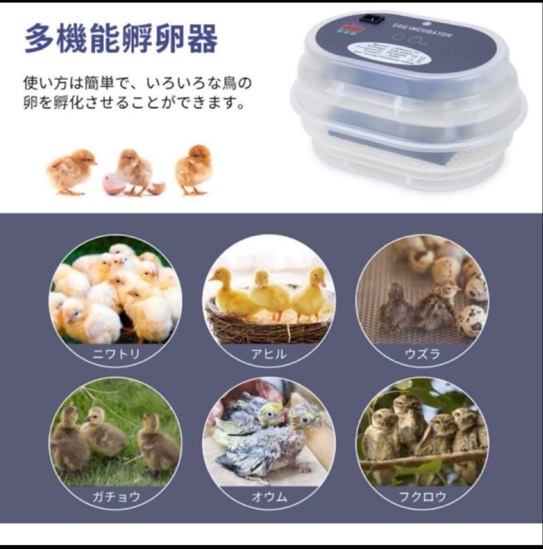 大容量全自動孵化機12個用 自動転卵機能付け