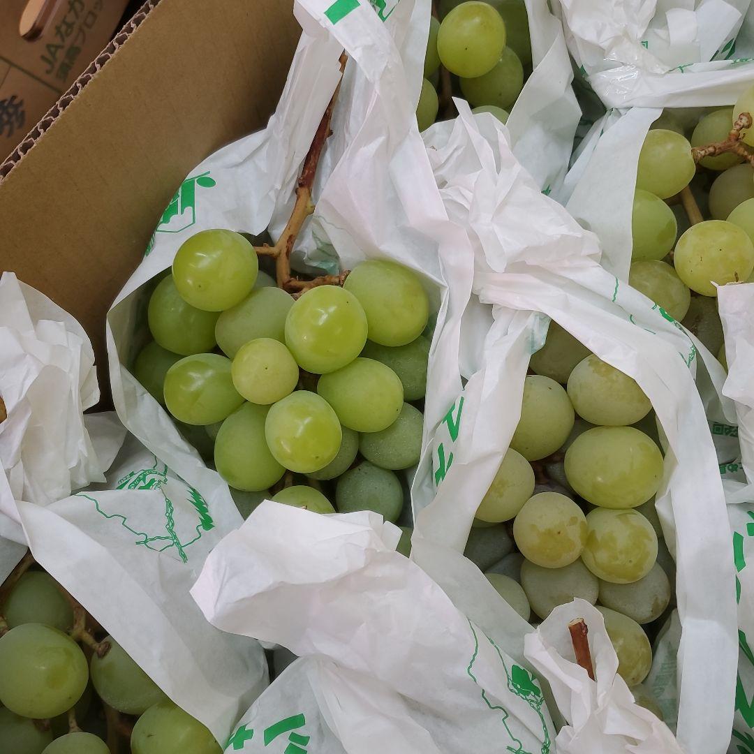 2️⃣山梨県産 シャインマスカット１２房入り 箱込み5.7キロ