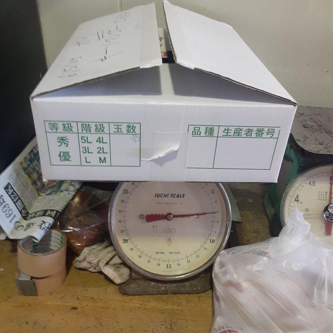 沖縄県産♪キーツマンゴー6㎏⑤