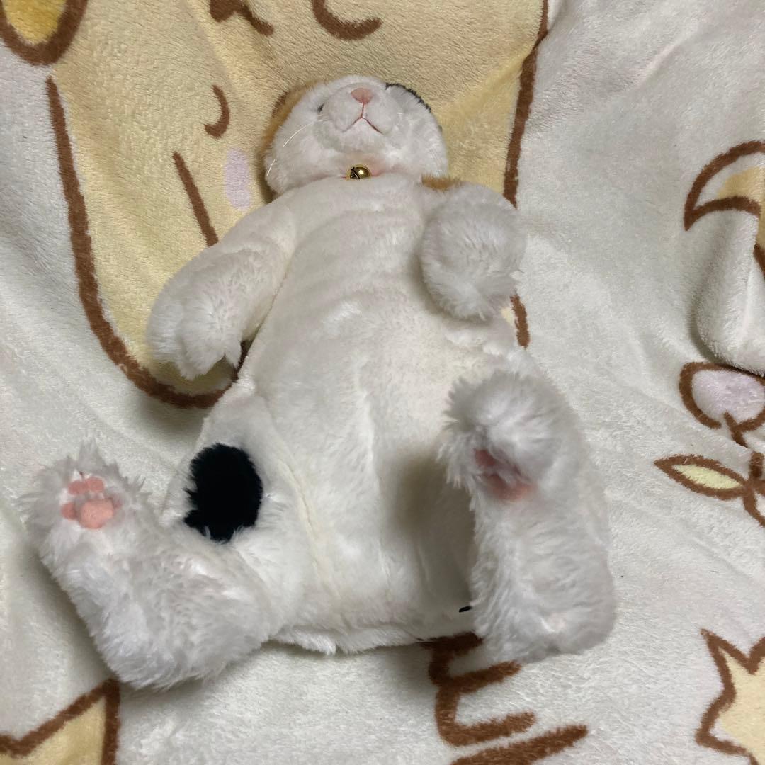 cuddly カドリー　小春　鈴ハートの穴　三毛猫　ぬいぐるみ　中古品