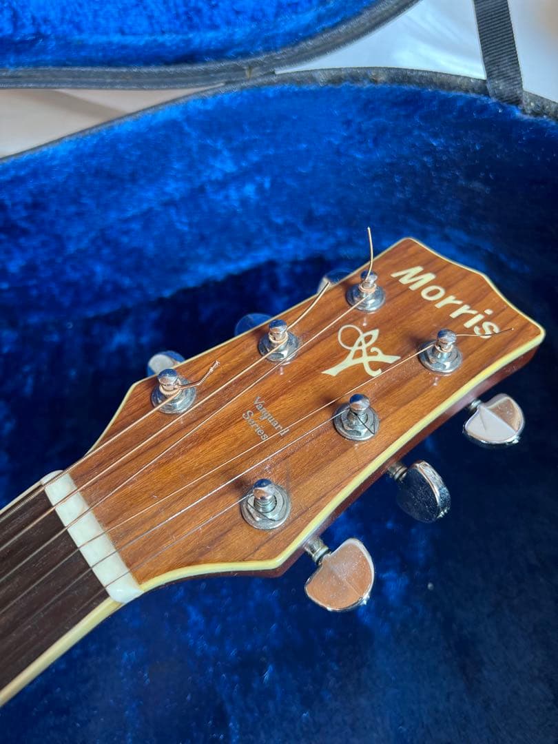 Morris MV-705 アコースティックギター