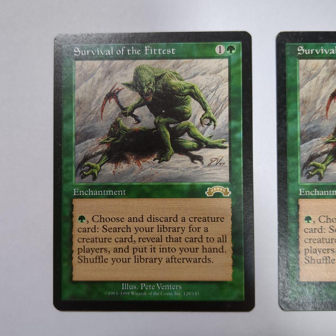 MTG 適者生存（２枚セット）　英語版２枚