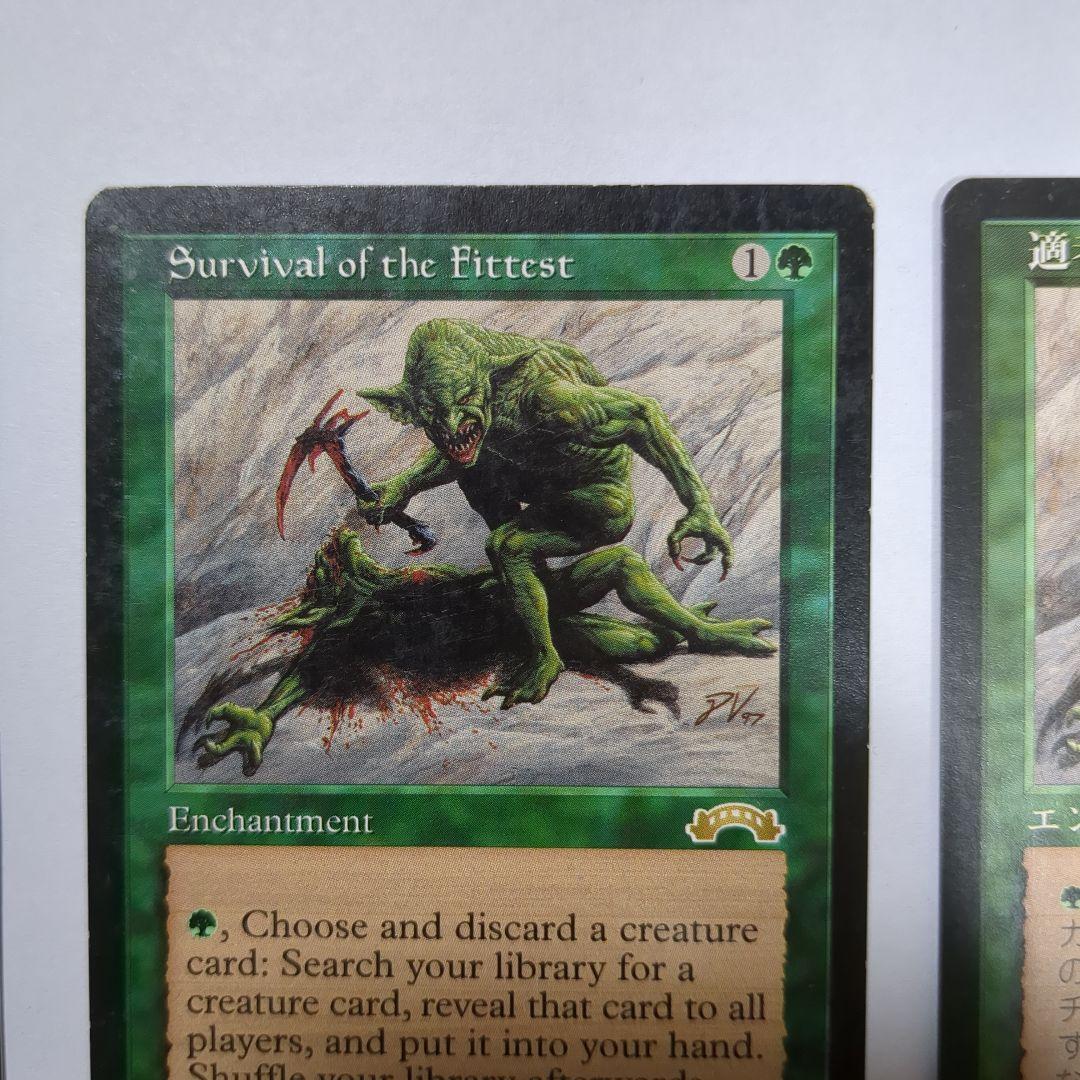 MTG 適者生存（２枚セット）　英語版２枚