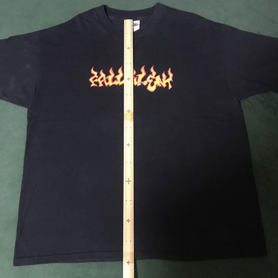 FALL SILENT Tシャツ