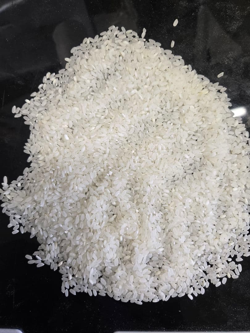 アメリカ産カルローズ米10kg