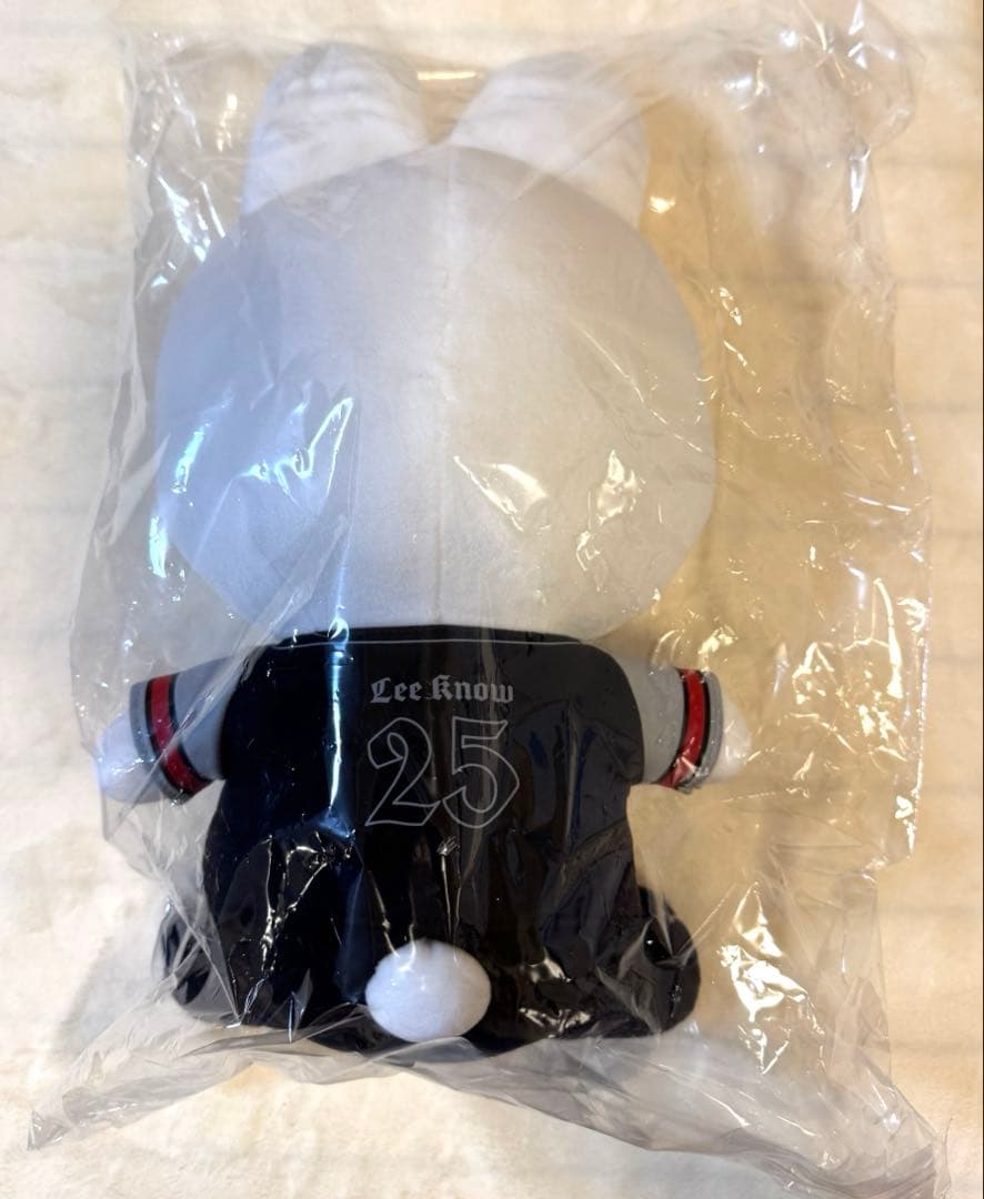 stray kids domin ATE エコパ　ぬいぐるみ リービット