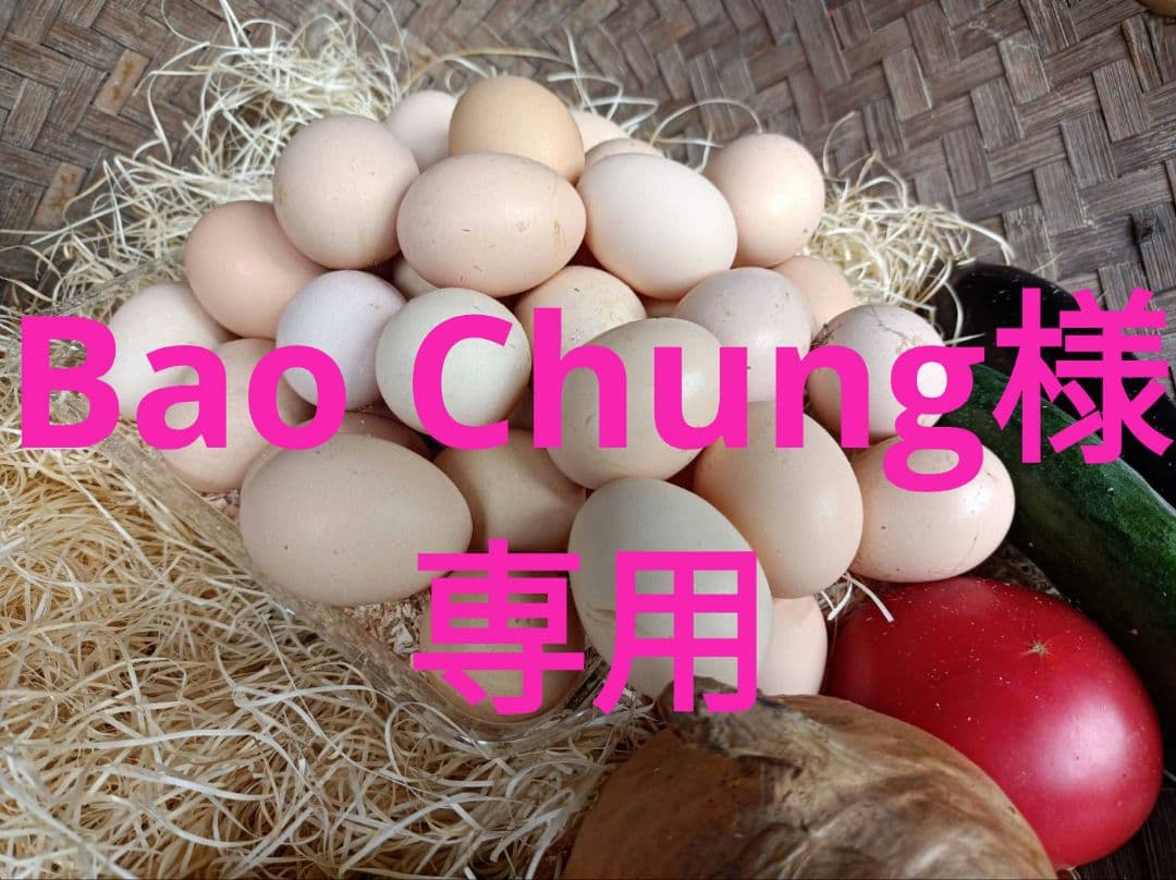 Bao Chung チャボ、烏骨鶏、アローカナ各30個 大和地鶏50個