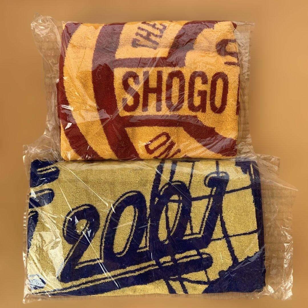 [お値下げ致しました！]浜田省吾 バスタオル2枚セット